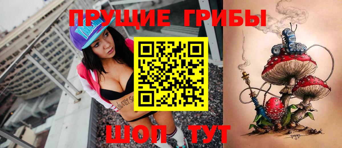 Псилоцибиновые грибы Cubensis  Вход с VPN  Свободный 