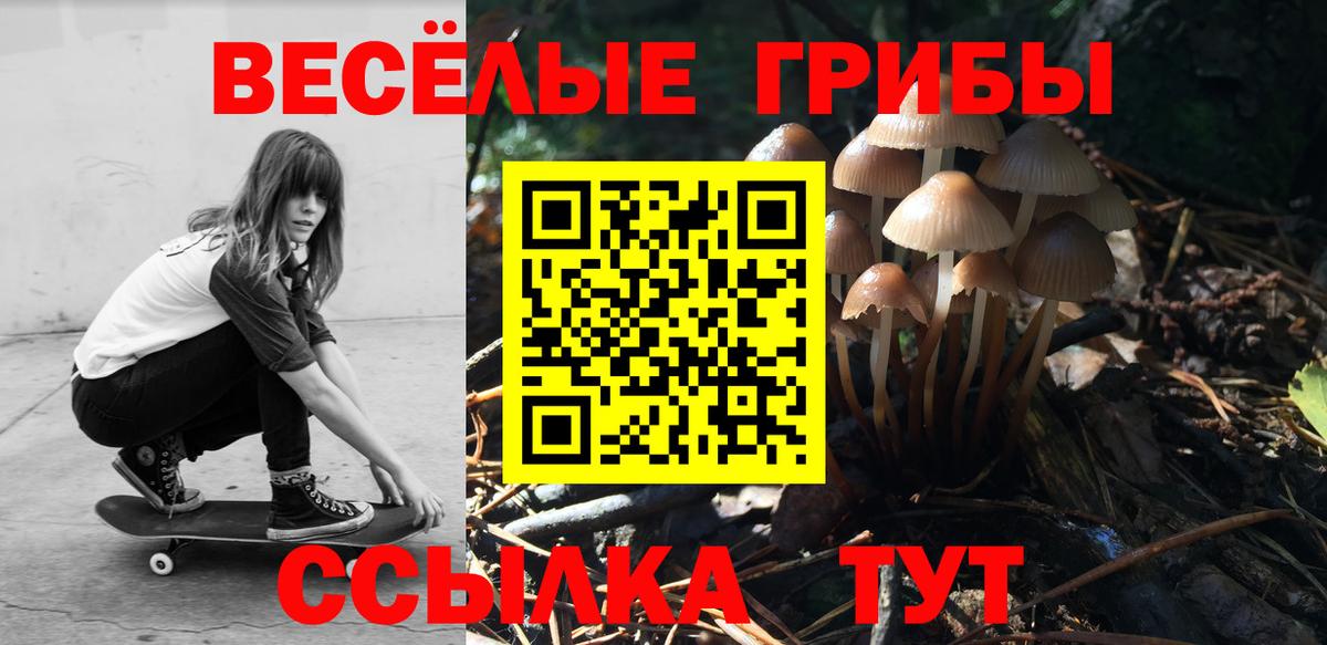 Псилоцибиновые грибы прущие грибы Свободный